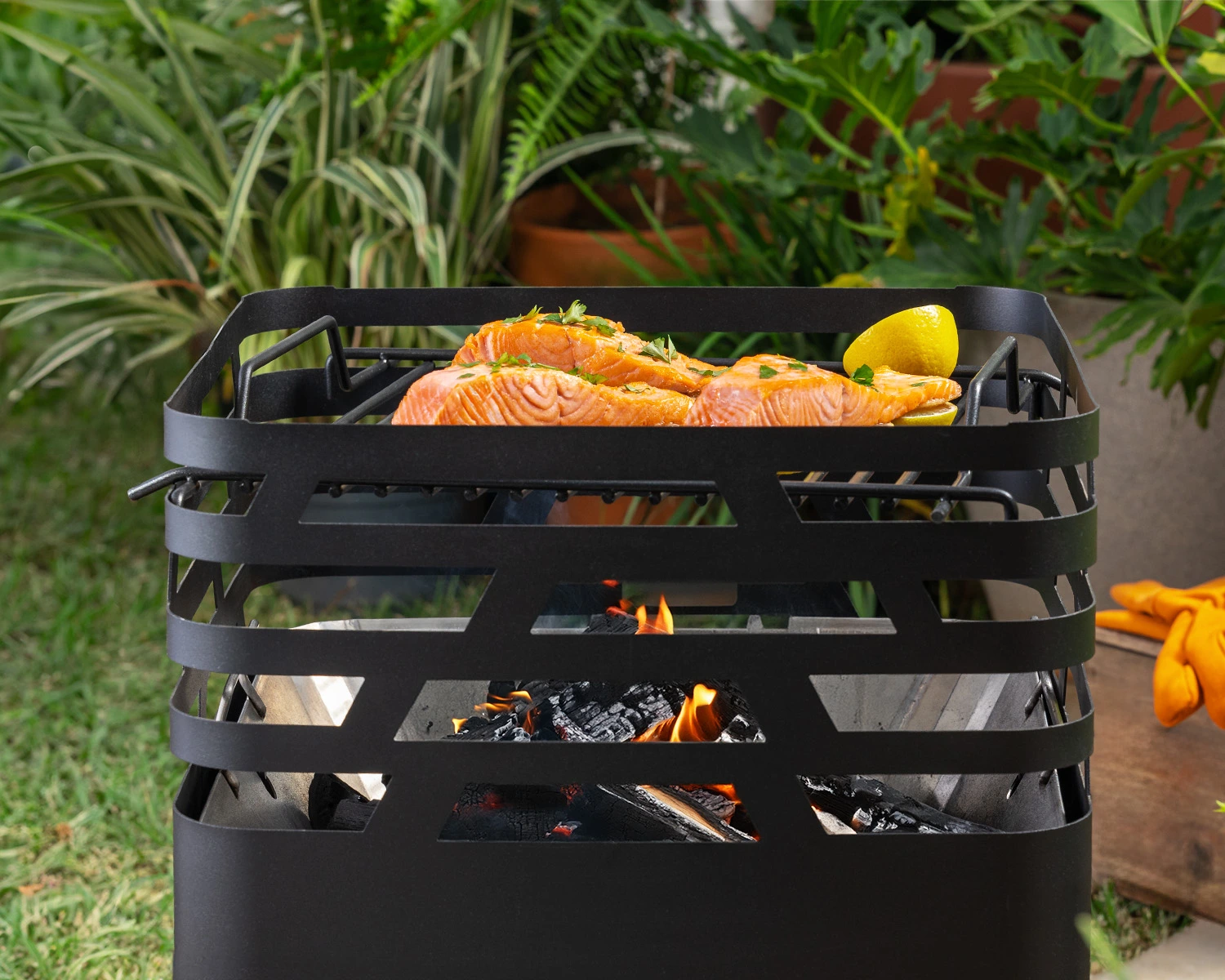 Home-Paine-03-cortada